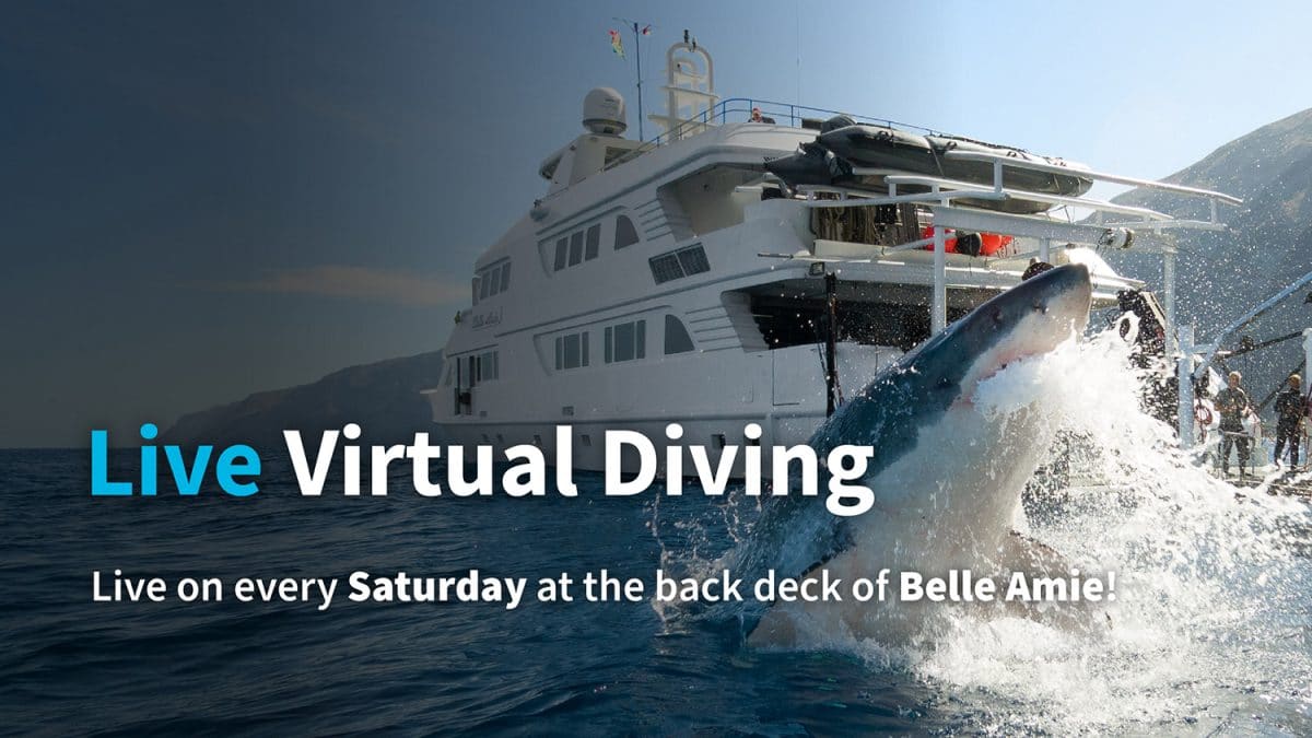 Nautilus Saturday Lives