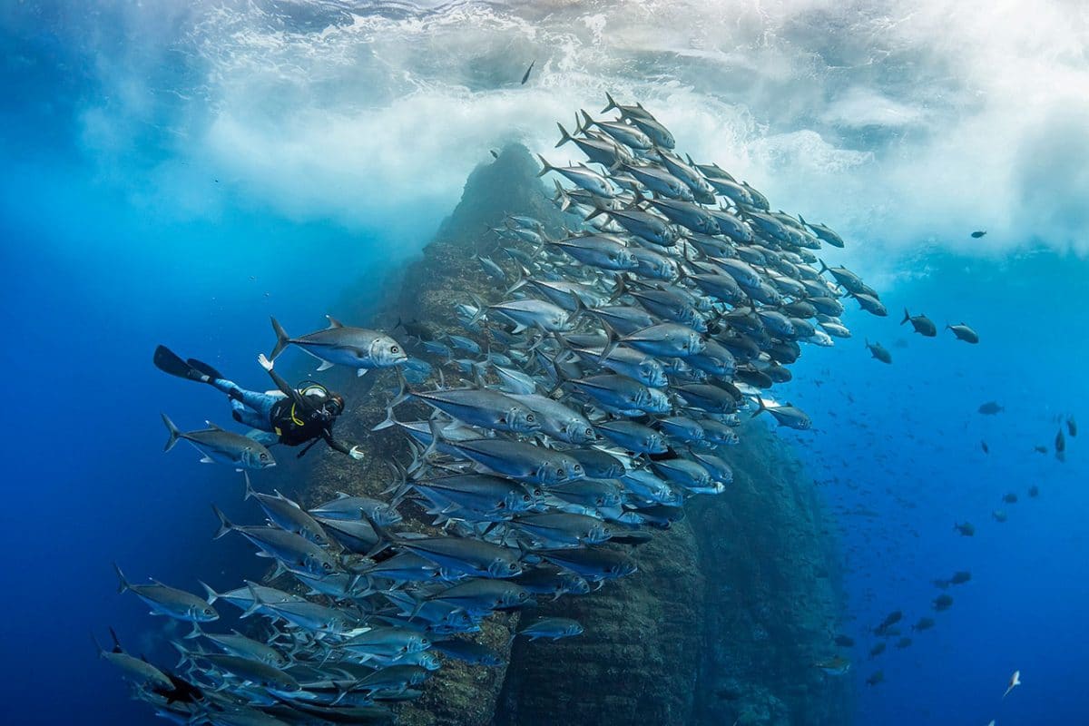 Top Five Travel Trends for 2021
