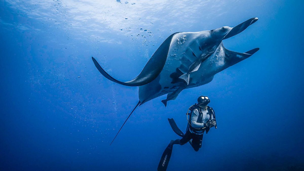 A Once in a Lifetime Trip for Father and Son
