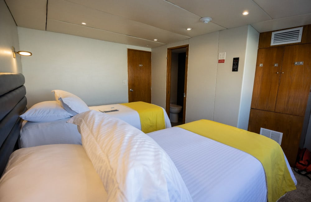 Gallant Lady Rosario Suite