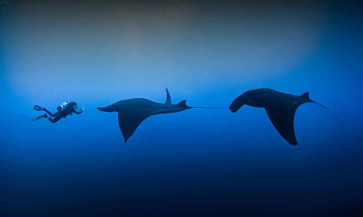 https://bajaexstag.wpengine.com/wp-content/uploads/2024/11/2024-11-Gray-Whale-LRG-1200x700.jpg.webp