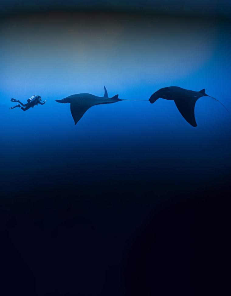 Socorro Island